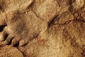 Footprint on a cave floor