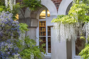 Wisteria covered library windows at Lady Margaret Hall