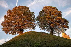 Oxford Castle motte