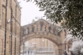 Snow-covered leaves in front of the Bridge of Sighs