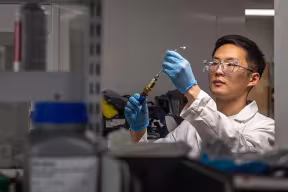 Student at work in a laboratory