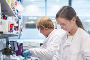 Two researchers in a lab