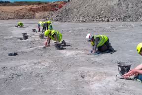 scientists and volunteers uncover dinosaur footprints in a quarry