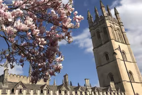 Magnolia in front of the Magdalen Tower