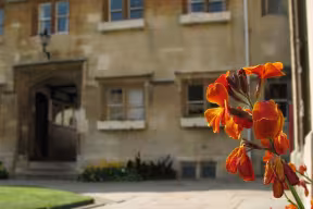 Flowers in the quad at Pembroke College