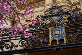 The Oxford shield