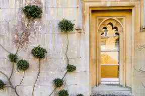 A Magdalen College wall
