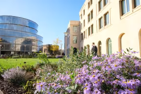 Lilac coloured flowers outside the Schwarzman centre building
