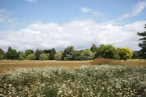 AN OXFORD MEADOW ON A SUMMER'S DAY
