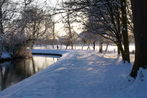SNOW BY THE RIVER CHERWELL IN CHRIST CHURCH MEADOW