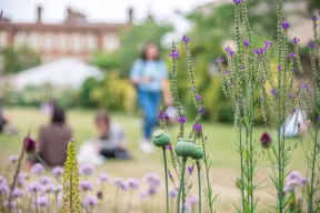PROSPECTIVE STUDENTS RESTING ON A COLLEGE LAWN DURING OPEN DAY