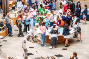 VISITORS IN THE OXFORD UNIVERSITY NATURAL HISTORY MUSEUM