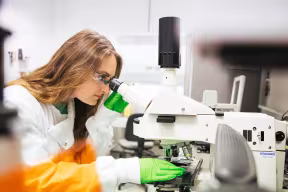 Student looking through a microscope