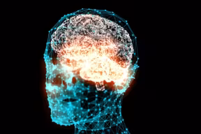 A visualisation of the brain inside a head