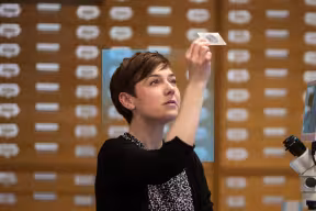 A student looking at a slide