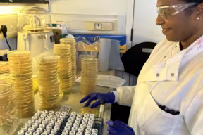 Person in a laboratory coat and safety goggles working at a lab bench with stacks of Petri dishes and labeled sample tubes.