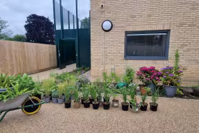 Warneford Hospital Garden