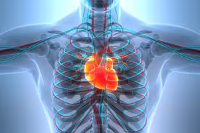 Heart image