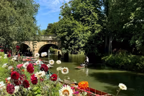 Punting on the river with flowers in the sunshine