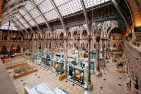 The main court of the Museum of Natural History, with the new display cases visible. The Museum is a historic, neo-Gothic Victorian building.