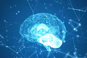 brain graphic