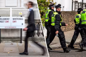 Whitehall street sign and police officers, representing careers across the UK public sector.