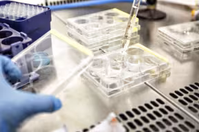 Work on an Ebola vaccine takes place in a laboratory