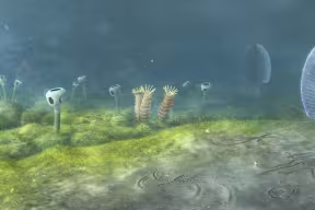 Illustration of a seafloor with simple animal forms with tubular and branched structures.