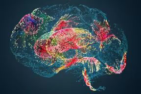 Computer image of human brain activity