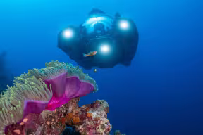 A three-person submarine underwater near a coral. Image credit: Nekton/Ocean Census.