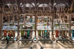 Oxford University's Museum of Natural History