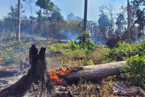 Amazonia's Fire Crises: Study shows emergency fire bans are insufficient and urges strategic action ahead of the next burning season
