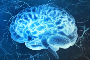 How decisions form in the brain: A physical basis for a cognitive process