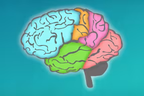 Paediatric Neuroimaging Group launches animation series to support parents of premature infants