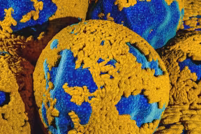 Scientists closer to finding the cell of origin for ovarian cancer