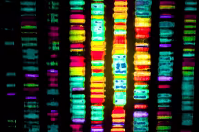 DNA sequencing and patient data used to halt infection outbreak
