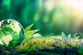 The United Nations Conference of the Parties for Biodiversity (COP15) represents a pivotal opportunity for countries to agree an ambitious global plan to halt and reverse species loss. Image credit: Shutterstock.