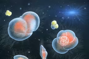 Artistic painting of present-day planktonic foraminifera floating in the deep sea