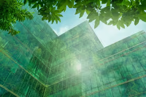 An eco-friendly glass building, viewed from below, looking up, with tree leaves in the foreground. 