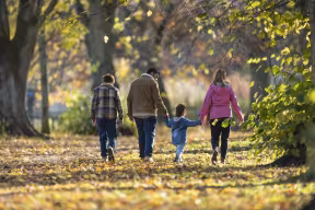 Early-life diseases linked to lifelong childlessness
