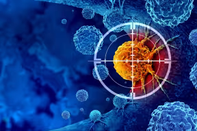 Researchers discover how immune cells hunt down cancer around the body