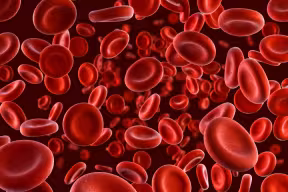Red blood cells