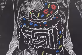 Gut bacteria linked to personality