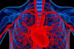 Research reveals link between high cholesterol levels and risk of aortic valve disease