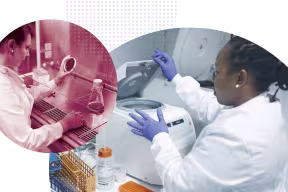 Research being undertaken in a laboratory