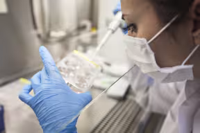 CEPI and University of Oxford advance vaccine work against potentially deadly Arenaviruses 