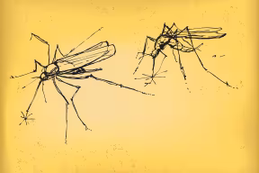 Highly effective, R21/Matrix-M™ malaria vaccine developed by University of Oxford and the Serum Institute of India awarded WHO ‘stamp of approval’ 