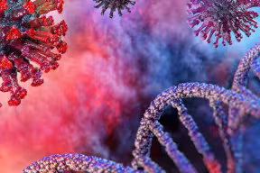 Persistent immune memory of COVID-19 found in recovered patient T cells