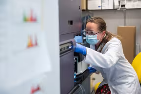 Photo | Researcher working on immunology in the lab