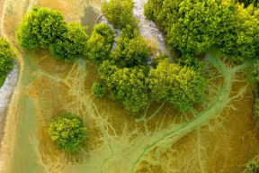 7–9 billion tonnes of CO2 must be sustainably removed per year to hit climate targets  